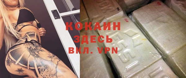 индика Мурманск